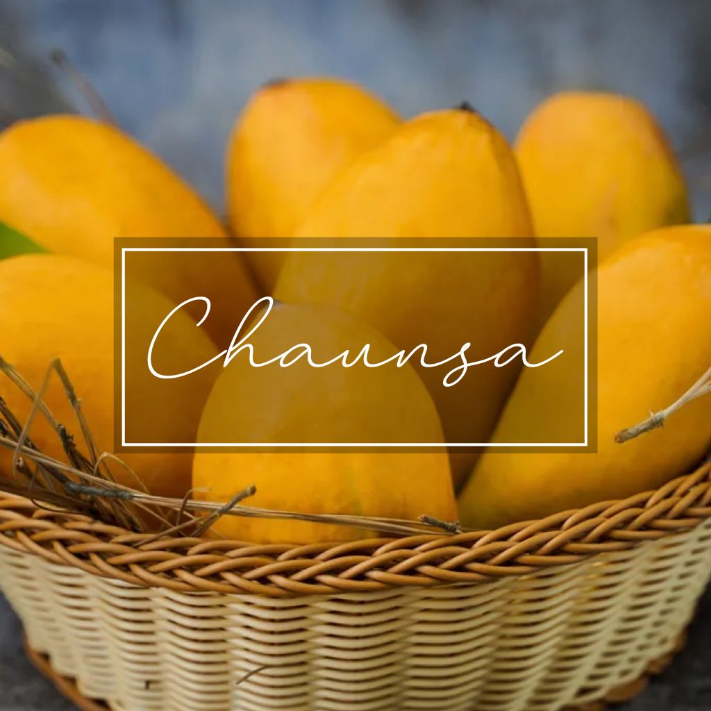 chaunsa mango of pakistan